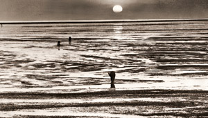 干潟の夕映 [山田広次, カメラ毎日 1956年5月号より]のサムネイル画像