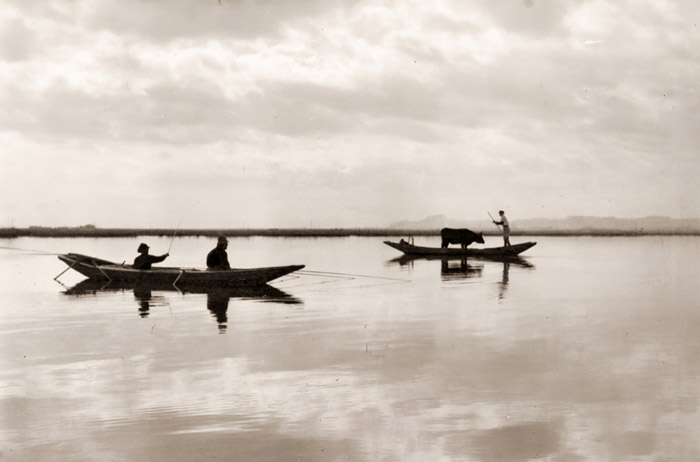 牛運ぶ農舟(丸江湖にて） [高埼武雄, カメラ毎日 1956年5月号より] パブリックドメイン画像 
