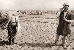 庄内平野（若い農家の男性と女性） [浜谷浩, ARS CAMERA 1955年1月号より]のサムネイル画像