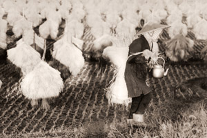 庄内平野(天日干しされた稲とやかんをもった農家） [浜谷浩, ARS CAMERA 1955年1月号より]のサムネイル画像