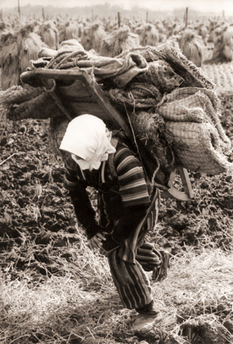 庄内平野(むしろを運ぶ農家の女性） [浜谷浩, ARS CAMERA 1955年1月号より] パブリックドメイン画像 