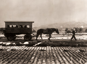 馬車 [小西朝一, ARS CAMERA 1955年2月号より]のサムネイル画像
