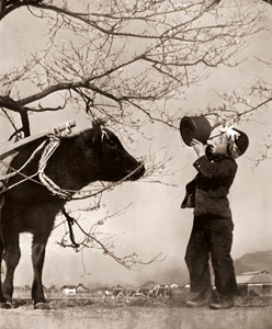 春の堤 [若松重治, アサヒカメラ 1940年6月号より]のサムネイル画像