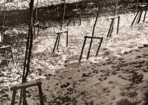 残雪 [波賀野義憲, アサヒカメラ 1956年1月号より]のサムネイル画像