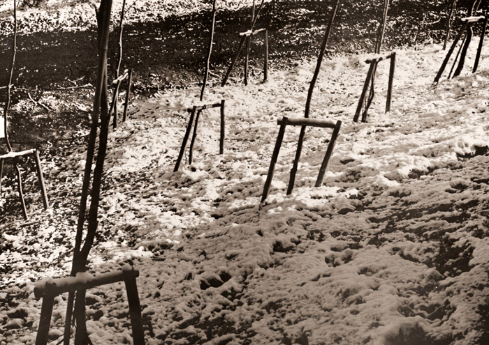 残雪 [波賀野義憲, アサヒカメラ 1956年1月号より] パブリックドメイン画像 