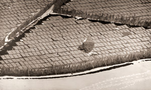 寒天ぼし [島田謹介, アサヒカメラ 1956年1月号より]のサムネイル画像