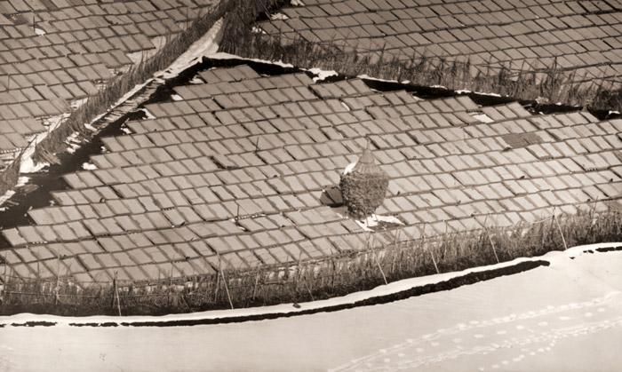 寒天ぼし [島田謹介, アサヒカメラ 1956年1月号より] パブリックドメイン画像 