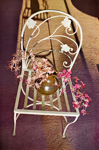 椅子と花 [真継不二夫, アサヒカメラ 1956年1月号より] パブリックドメイン画像 