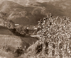 山村の秋 [八木充, アサヒカメラ 1941年3月号より]のサムネイル画像