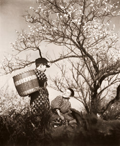梅花小景 [近藤白鹿, アサヒカメラ 1941年3月号より]のサムネイル画像