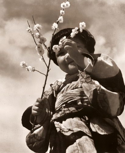 梅と童女 [真継不二夫, アサヒカメラ 1941年3月号より] パブリックドメイン画像 