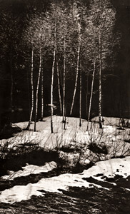 無題(雪が残るストックホルム近郊の森） [パル・ニルス・ニルソン, Color Photography Annual 1956より]のサムネイル画像