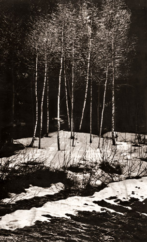 無題(雪が残るストックホルム近郊の森） [パル・ニルス・ニルソン, Color Photography Annual 1956より] パブリックドメイン画像 