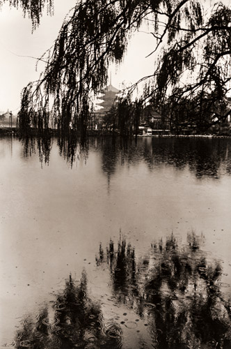 日本のもう一つの魅力的な側面：奈良の神聖な池の上の柳 [エリオット・エリソフォン, Color Photography Annual 1956より] パブリックドメイン画像 
