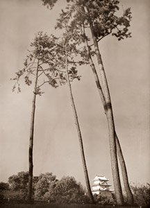 Landscape of a Castle [Shoyu Tentaku,  from Kohga Gekkan September 1952] Thumbnail Images