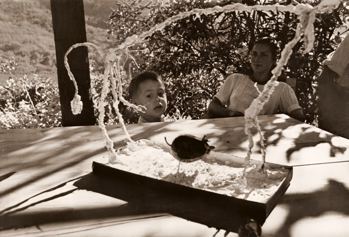 ピカソの家庭生活 (パブロ・ピカソが作った粘土の動物と茄子の豚を見るクロード・ピカソ） [ロバート・キャパ, アサヒカメラ 1951年9月号より] パブリックドメイン画像 