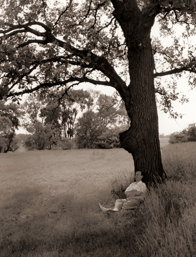 民主党の大統領指名を求めるかどうか、イリノイの農園の樫の木の下で想いをめぐらすアドレイ・ステイーヴンスン [コーネル・キャパ, 1952年, 栄光の「LIFE」展 1946-1955 時代の顔を衝くより] パブリックドメイン画像 