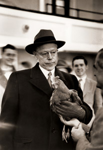 ニューハンプシャー州の予備選挙運動中、雄鶏を贈られて困惑するロバート・タフト 数日後、共和党のライバル候補アイゼンハワーに敗退したことを知り、同じ表情を繰り返すことになった [アルフレッド・アイゼンスタット, 1952年, 栄光の「LIFE」展 1946-1955 時代の顔を衝くより]のサムネイル画像