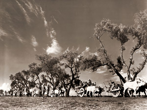 インドとパキスタンの分離に際して、パンジャーブ州のヒンドゥー教徒地区に移動するシーク教徒の難民の列 [マーガレット・バーク＝ホワイト, 1947年, 栄光の「LIFE」展 1946-1955 時代の顔を衝くより]のサムネイル画像
