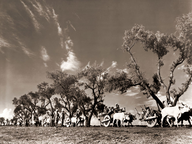 インドとパキスタンの分離に際して、パンジャーブ州のヒンドゥー教徒地区に移動するシーク教徒の難民の列 [マーガレット・バーク＝ホワイト, 1947年, 栄光の「LIFE」展 1946-1955 時代の顔を衝くより] パブリックドメイン画像 