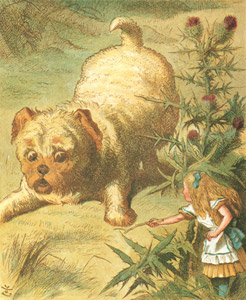 挿絵8(子犬と遊ぶアリス） [ジョン・テニエル, おとぎのアリスより]のサムネイル画像