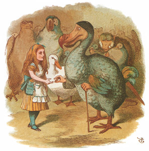 挿絵6(アリスとドードー鳥） [ジョン・テニエル, おとぎのアリスより]のサムネイル画像