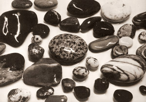 さざれ石 [鈴木八郎, ARS CAMERA 1955年4月号より]のサムネイル画像