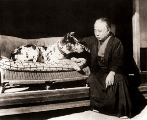 無題(橋本関雪と愛犬のグレートデーン） [1945年以前, 橋本関雪展 没後50年記念より]のサムネイル画像