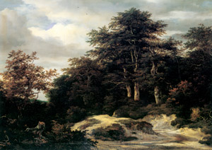 小川の見える森の風景 [ヤーコプ・ファン・ロイスダール, 1650年代, ブリューゲルとネーデルラント風景画より]のサムネイル画像