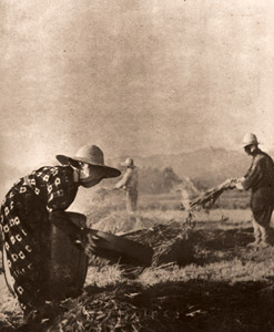 麦焼情景 [1948年, 光画月刊 1948年12月号より]のサムネイル画像