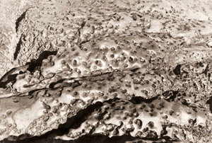 侵食された岩 その二 [河野徹, ARS CAMERA1955年6月号より]のサムネイル画像