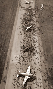 復活第一回航空記念日 [古川秀二, 朝日新聞報道写真傑作集 1954より]のサムネイル画像