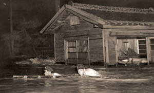濁流にハシゴを運ぶ鉄道員 [小柳春夫, 朝日新聞報道写真傑作集 1954より]のサムネイル画像