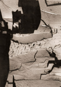 作品(純アルミニウムの陽極酸化された表面） [駒井徳三郎, カメラ毎日 1955年3月号より]のサムネイル画像