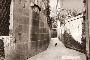 サン・ロッコの路地 [香川京子, カメラ毎日 1955年3月号より]のサムネイル画像