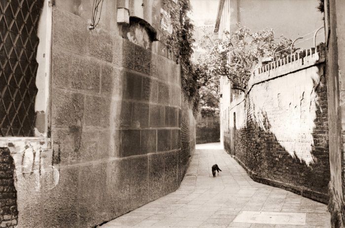 サン・ロッコの路地 [香川京子, カメラ毎日 1955年3月号より] パブリックドメイン画像 