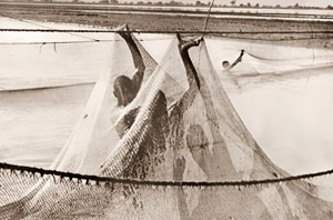 ナイル河退水時のルクゾール農民のそこ網漁 [アンリ・カルティエ＝ブレッソン, カメラ毎日 1955年3月号より]のサムネイル画像