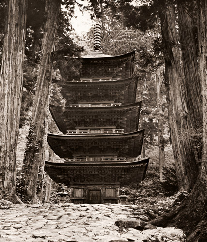 森の中の五重塔 [井上宗和, カメラ毎日 1955年10月号より] パブリックドメイン画像 