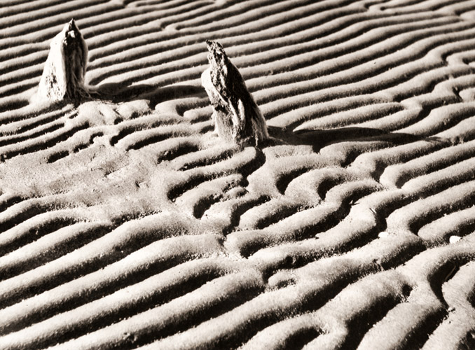 干潟の幻想 3 [新山清, カメラ毎日 1955年10月号より] パブリックドメイン画像 