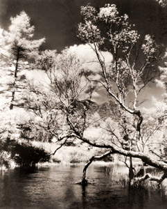 湯川の秋 [秋元満正, カメラ毎日 1955年10月号より]のサムネイル画像