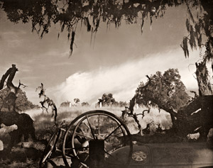 カルメル・バレイ [ブレット・ウェストン, 1952年, カメラ毎日 1955年10月号より]のサムネイル画像