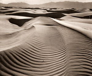白い砂漠 [ブレット・ウェストン, 1946年, カメラ毎日 1955年10月号より]のサムネイル画像