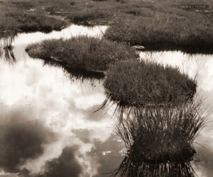 水辺 [東山魁夷, カメラ毎日 1956年3月号より]のサムネイル画像