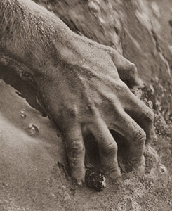 手 [マウリー・レヴィン, カメラ毎日 1955年4月号より]のサムネイル画像