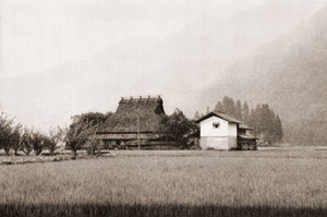 勤王の村 [村井順, カメラ毎日 1955年4月号より]のサムネイル画像