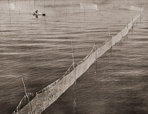 静かな内海 [高橋清一, カメラ毎日 1955年6月号より]のサムネイル画像