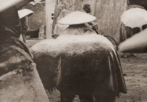 雪国の商人 [土田博, カメラ毎日 1955年6月号より]のサムネイル画像