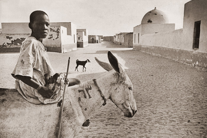 ロバに乗ったスーダン族の少年(ワジ・ハルファにて） [エリオット・エリソフォン, カメラ毎日 1955年6月号より] パブリックドメイン画像 