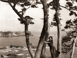 秋の志摩半島(小泉澄子さん） [稲村隆正, カメラ毎日 1956年11月号より]のサムネイル画像