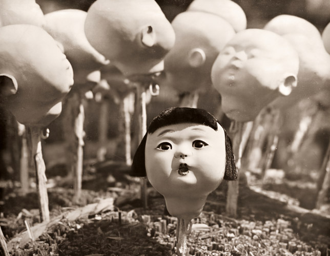 人形の首 [井沢馨, カメラ毎日 1956年11月号より] パブリックドメイン画像 